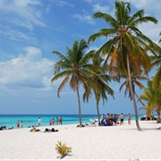 Isla Saona, Dominican Republic