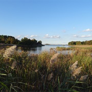 Port Penn Wetland Trail