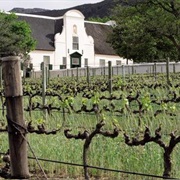 Groot Constantia Wine Estate, Cape Town