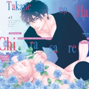 Takane No Hana Wa, Chirasa Retai (Sakyo Aya)