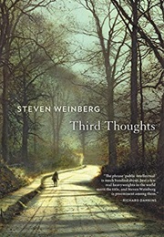 Third Thoughts (Steven Weinberg)