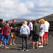 Wine Tasting in Lanzarote