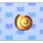 Snail