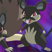 Alolan Rattata