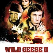 Wild Geese II
