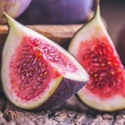 Fig