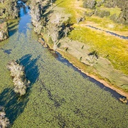 Everlasting Swamp National Park (NSW)