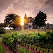 Vist the Wineries of Niagara, ON