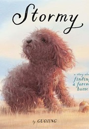 Stormy: A Story About Finding a Forever Home (Guojing)