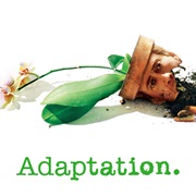 Adaptation