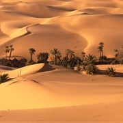 Bahariya Oasis