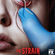 The Strain
