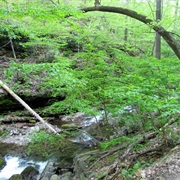 Dunnfield Creek Natural Area, New Jersey