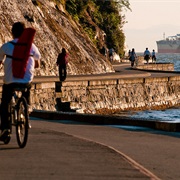 Bike the Seawall