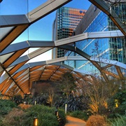 Crossrail Place Roof Garden