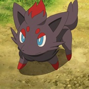 Zorua