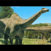 Diplodocus