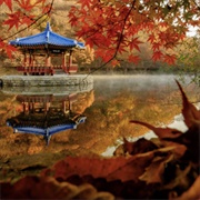 Naejangsan, South Korea