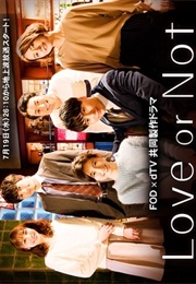 Love or Not (2017)