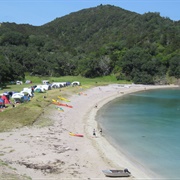 Waikahoa Bay - Northland