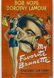 My Favorite Brunette