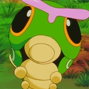 Caterpie