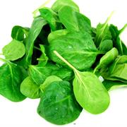Baby Spinach