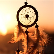 Dream Catchers