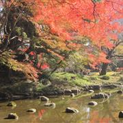 Koishikawa Kairakuen Park in Tokyo