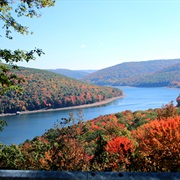 Allegheny National Forest