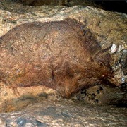 Font-De-Gaume Cave, France. C17 000 BC
