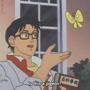 Is This a Pigeon?