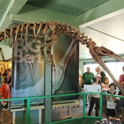 Pasquia Paleontological Site