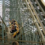 Cheetah (Wild Adventures, USA)