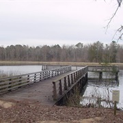 Three Rivers State Park, Florida