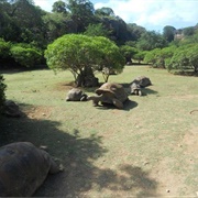 François Leguat Reserve, Mauritius