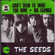 The Seeds - Can&#39;t Seem to Make You Mine