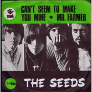 The Seeds - Can't Seem to Make You Mine