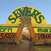 Sever&#39;s Corn Maze