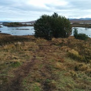 Rannoch Moor