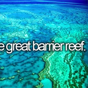 Explore the Great Barrier Reef