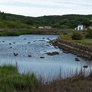 Parc Natural S'albufera Des Grau, Menorca