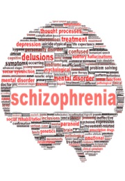 Schizophrenia (2015)