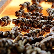 Kopi Luwak (World's Most Expensive Coffee Made From Civet Droppings)