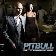 Shut It Down- Pitbull Ft Akon