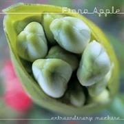 Extraordinary Machine- Fiona Apple