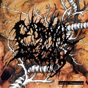 Carnal Decay - Carnal Pleasures