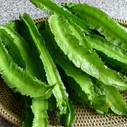 Winged Bean