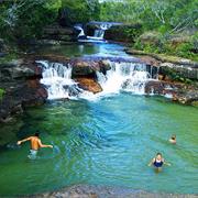 Jardine River National Park (QLD)