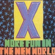 X- More Fun in the New World
